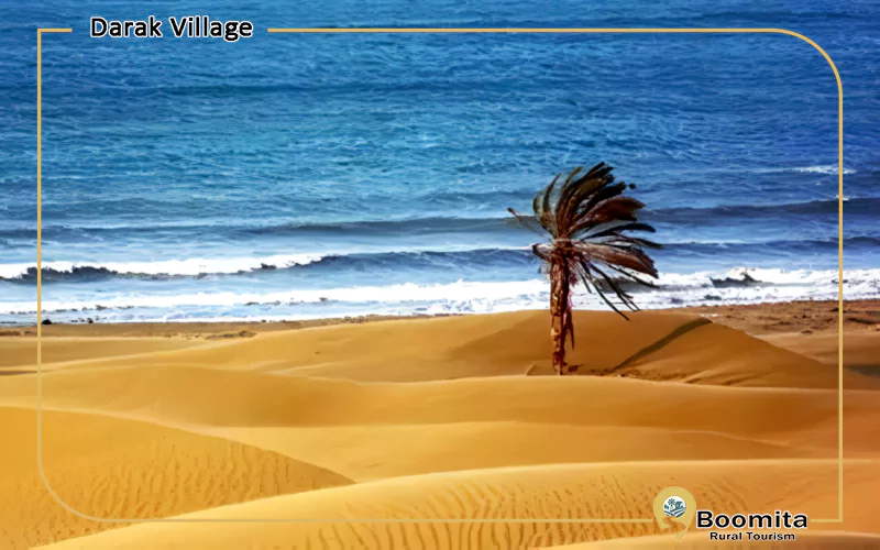 تک درخت ساحل درک