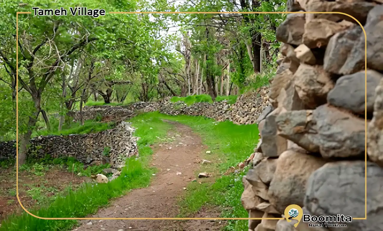 نمایی از باغ های روستای طامه نطنز