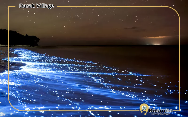 پلانکتون ها در ساحل شب روستای درک