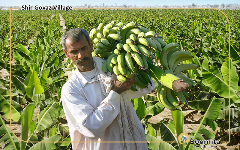 محصولات استوایی