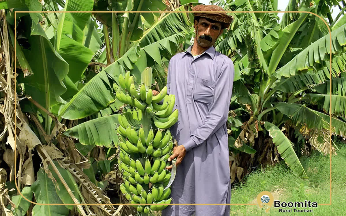 روستای شیرگواز