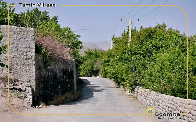 کوچه باغ های روستای تمین