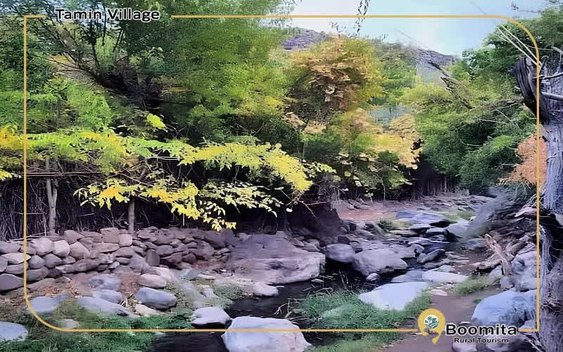 طبیعت و پوشش گیاهی