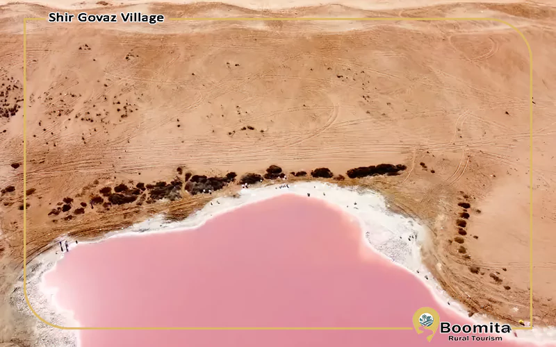 تالاب لیپار، صورتی بودن رنگ آب