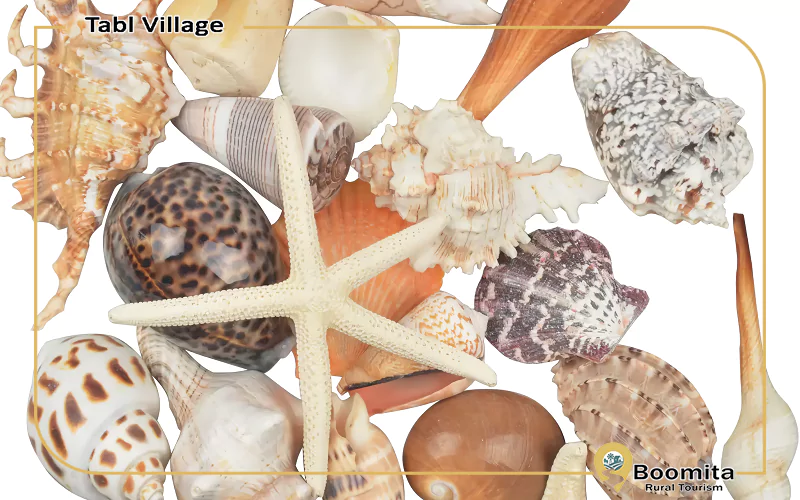 سوغات روستای طبل