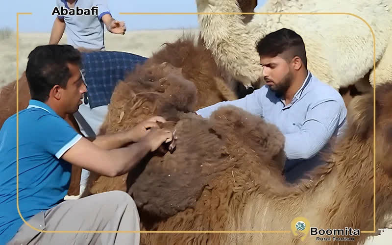 مراحل عبا بافی