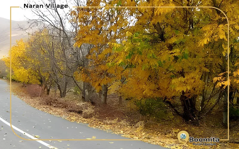 طبیعت پاییزی روستای نران