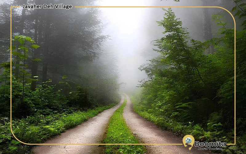 جاده ای با نمای سرسبز