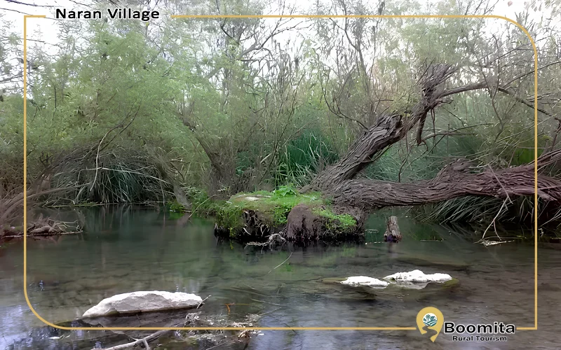 نمایی از چشمه سراب