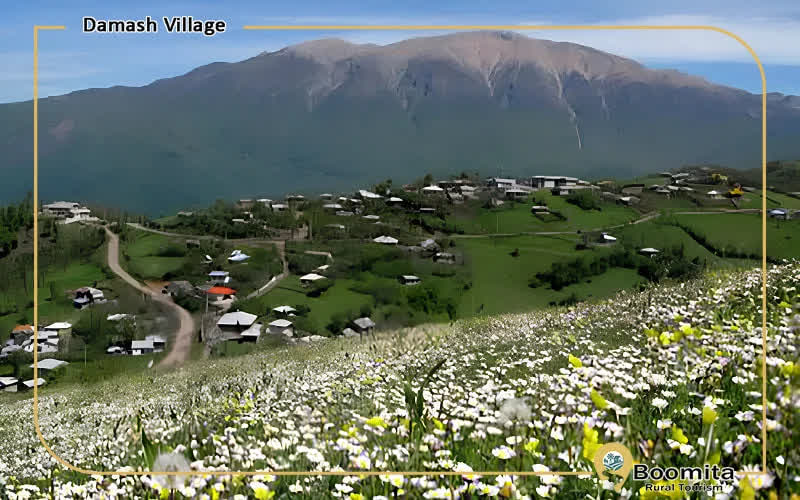 طبیعت روستای داماش