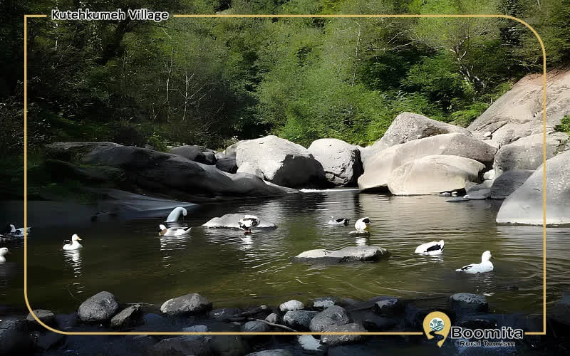 طبیعت بکر روستاهای گیلان