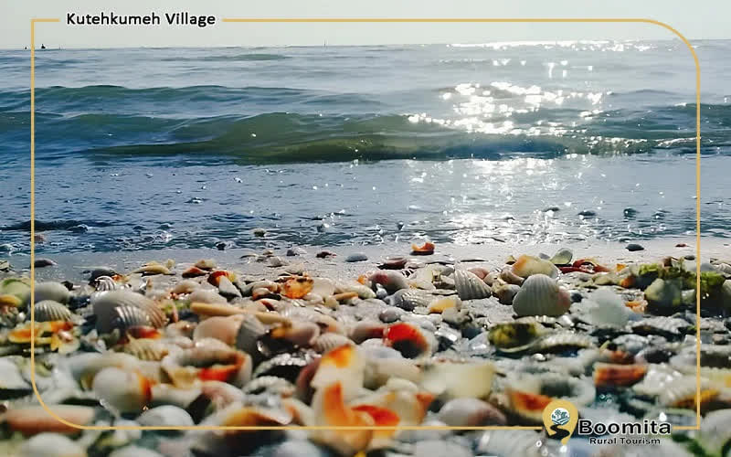 ساحل صدف(سیبلی) در محدوده لوندویل