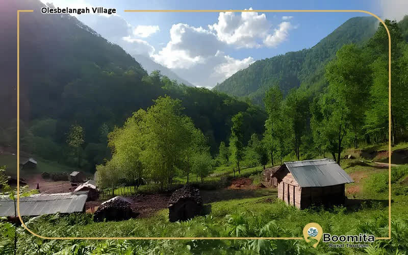 روستای طالب دره در شاندرمن