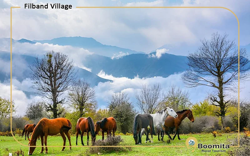 جنگل الیمستان