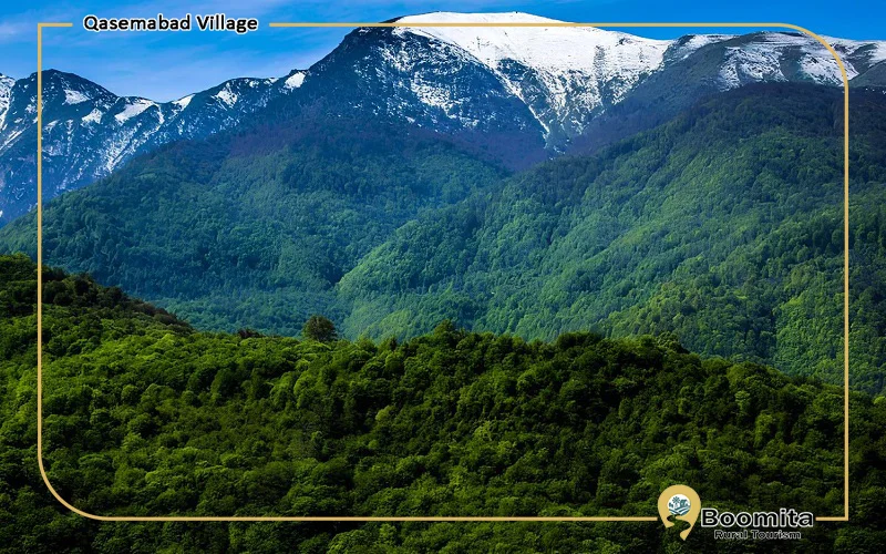 جنگل های هیرکانی در گیلان