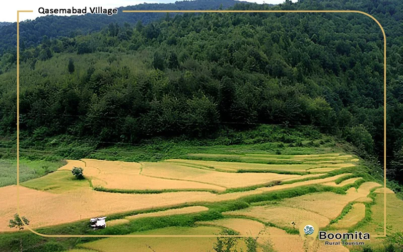 بهترین زمان سفر به روستای قاسم‌آباد گیلان