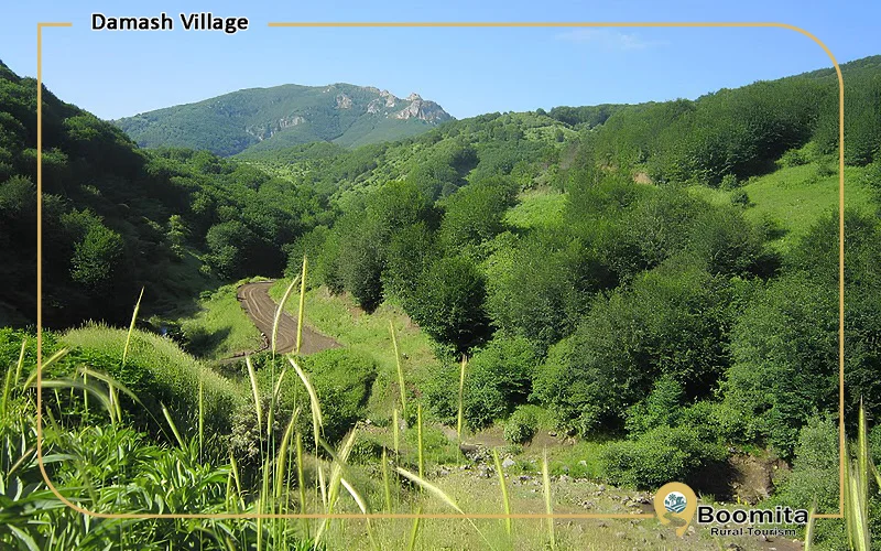 طبیعت زیبای روستای داماش