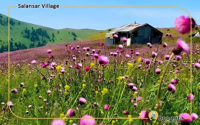 پوشش گیاهی وجانوری سلانسر