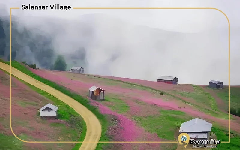 دشت ها و دامنه های پوشیده از گل های وحشی