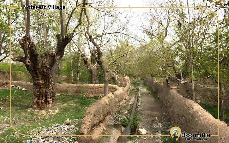 روستای نوفرست