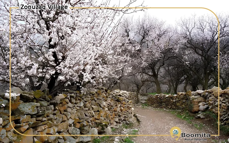 کوچه باغ روستایی زیبا در تبریز