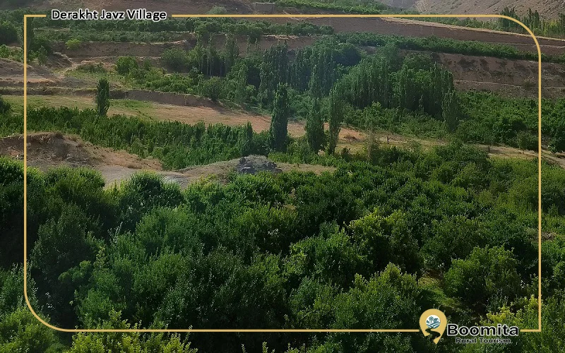 روستای درخت جوز نیشابور