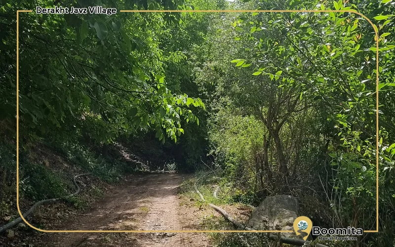 روستایی با طبیعت سرسبز