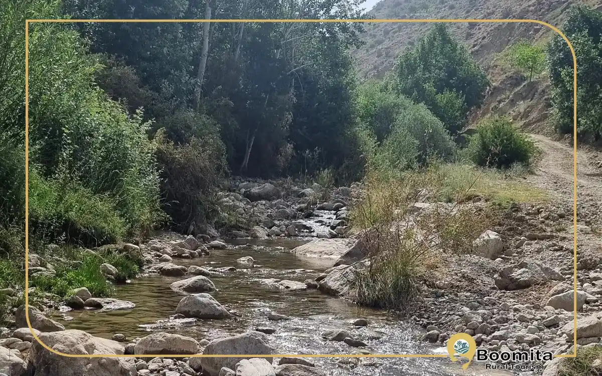 روستای درخت جوز