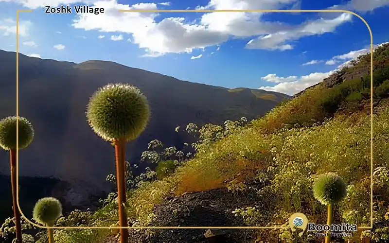 چشم انداز طبیعی و سرسبز