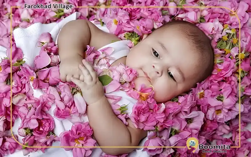 آیین گل غلتانی
