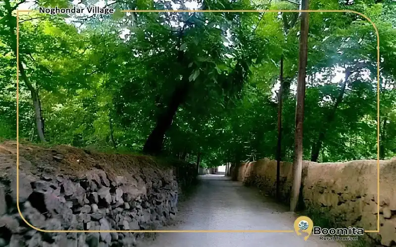 کوچه باغ سر سبز