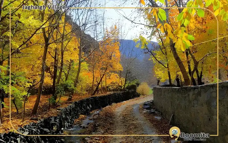 مسیر خاکی زیبا در دل طبیعت