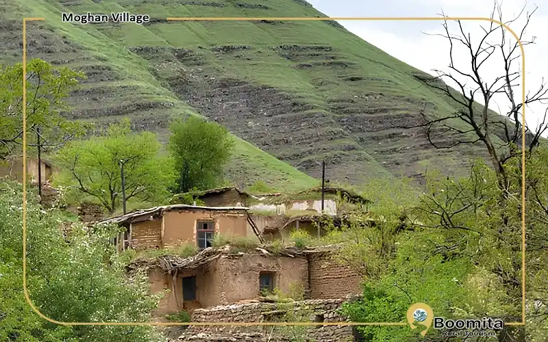 پوشش گیاهی روستای مغان