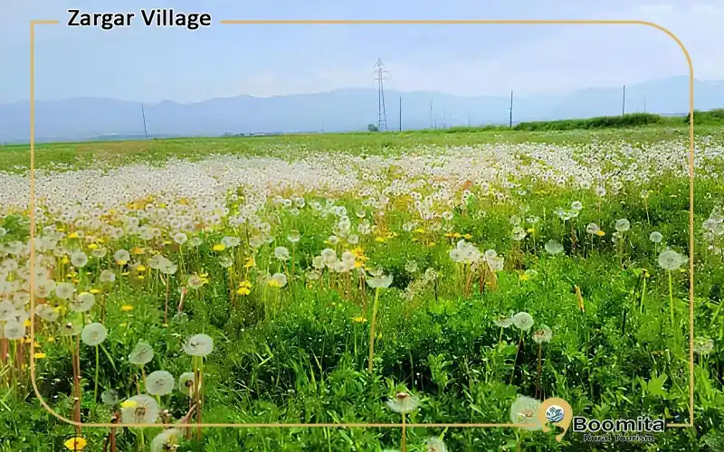 دشت سرسبز روستای زرگر