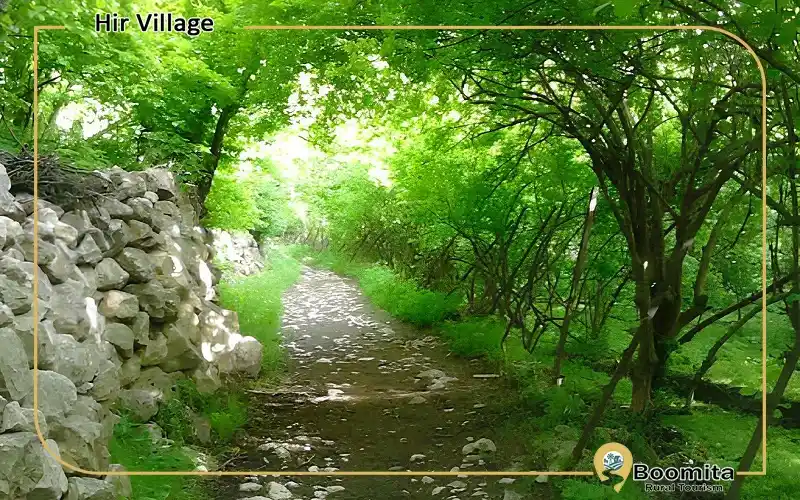 روستای هیر یکی از روستاهای گردشگری قزوین